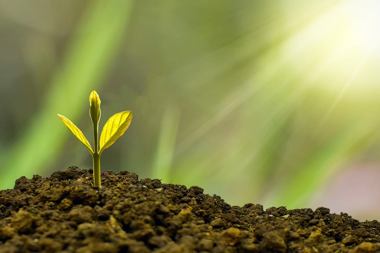 4. 実績あるメンターによる指導